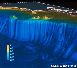 20110307-NOAA ocean floor bathy_100.jpg